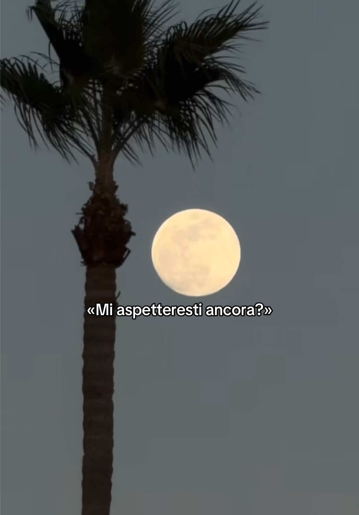 @🌙
