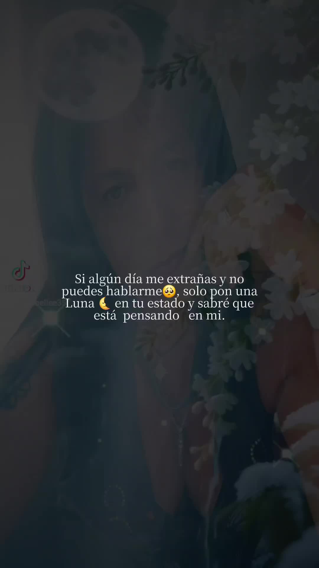 @🤍ana×galiastur506🤍