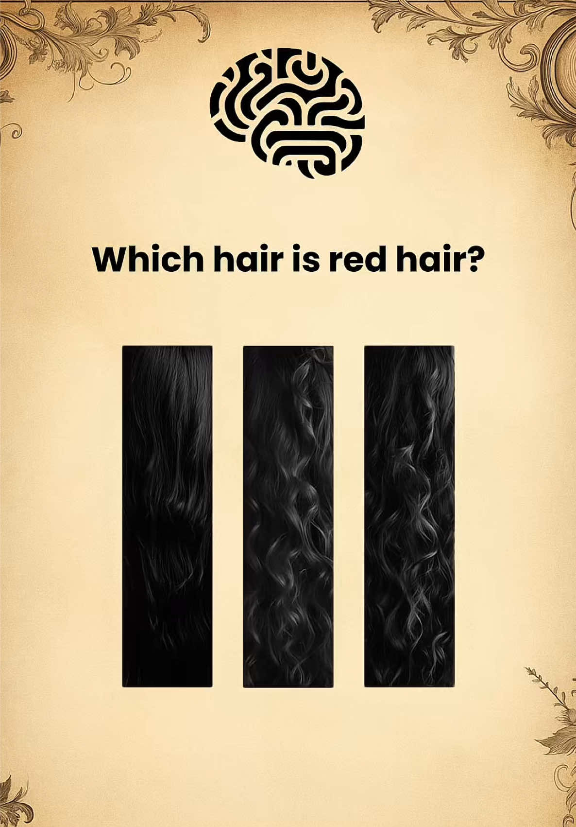 @&bull;Intuition Test&bull;
