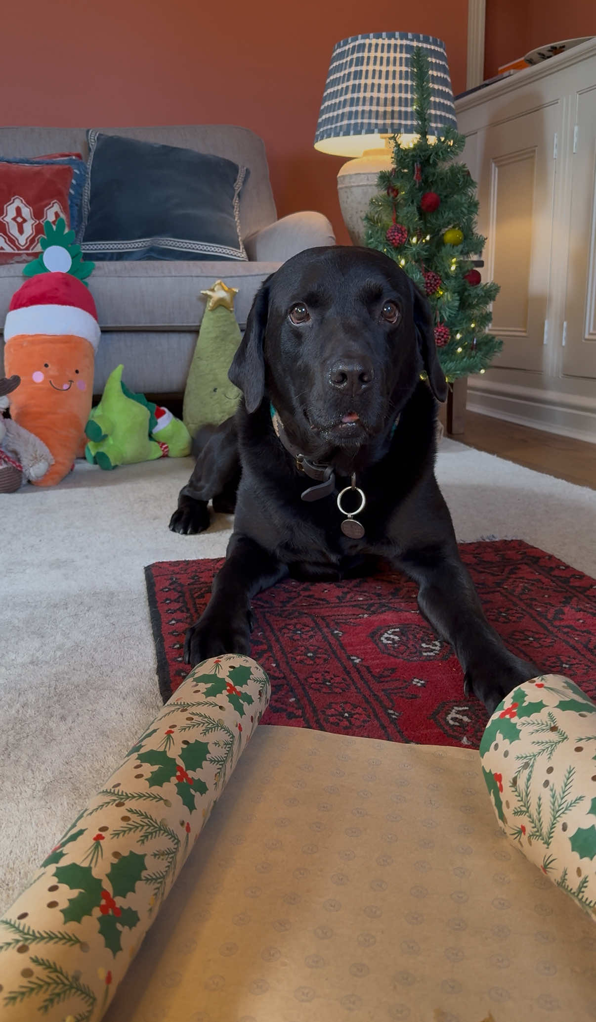 @Denzel The Labraseal