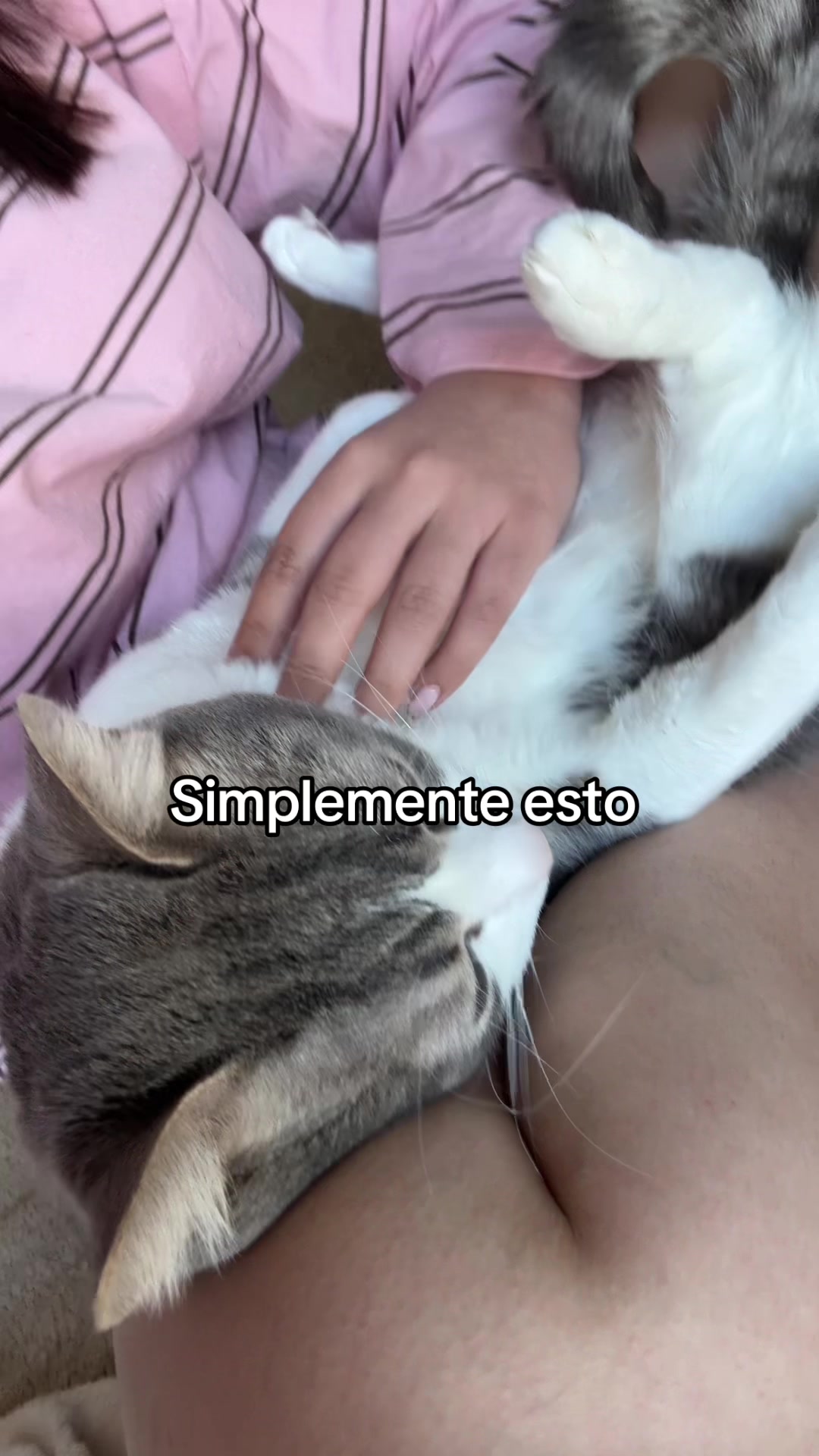@Daniela