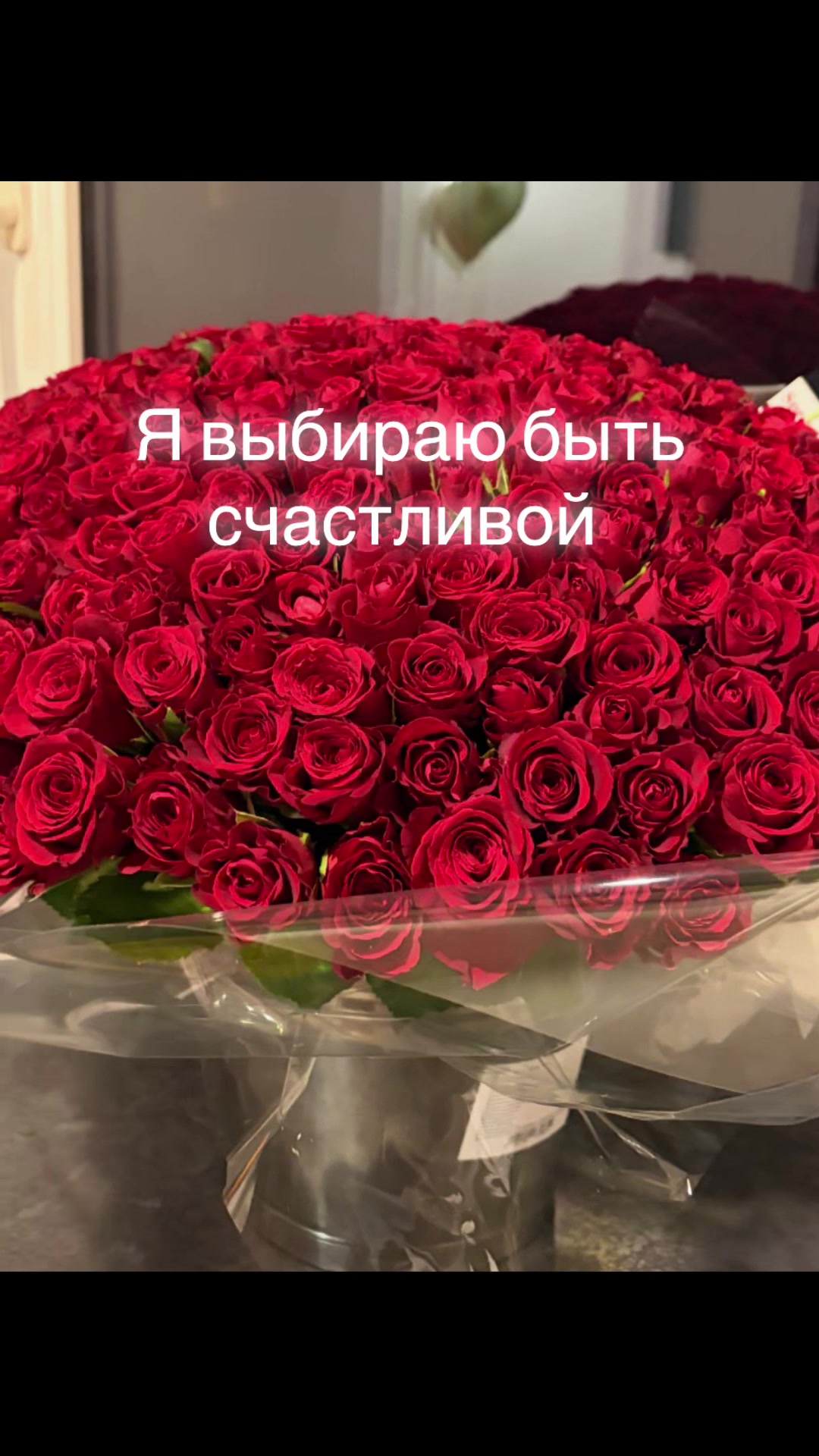 @Laura4444444