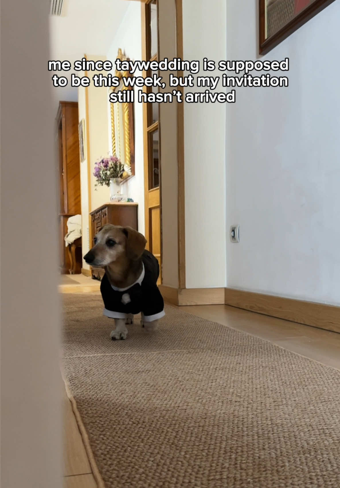 @Lucas The Dog