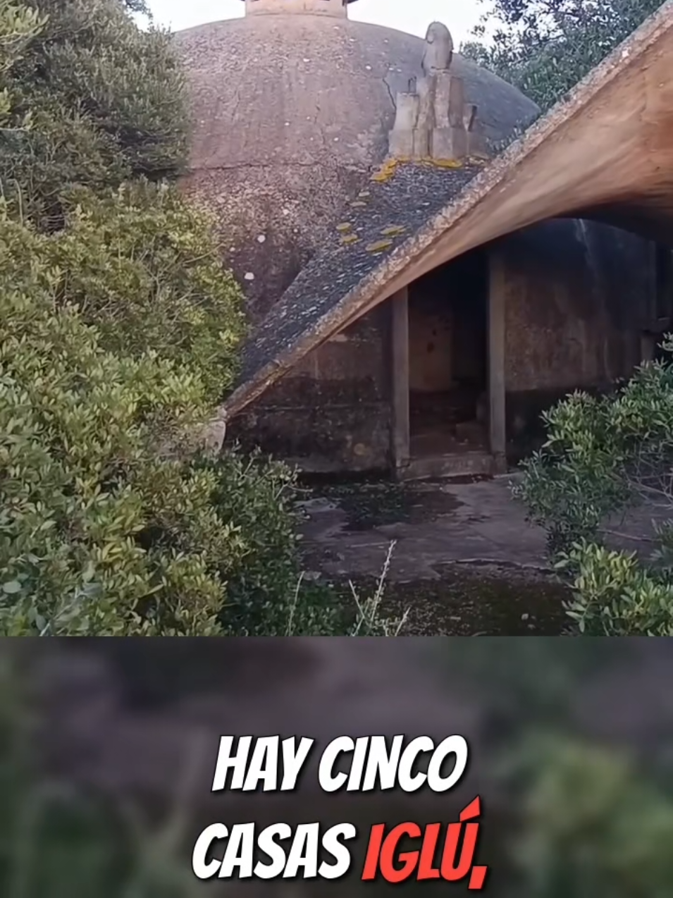 @Madrile