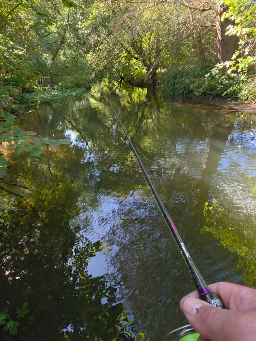 @BF Angler