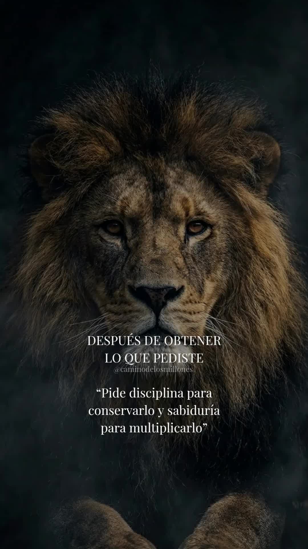 @caminodelosmillones