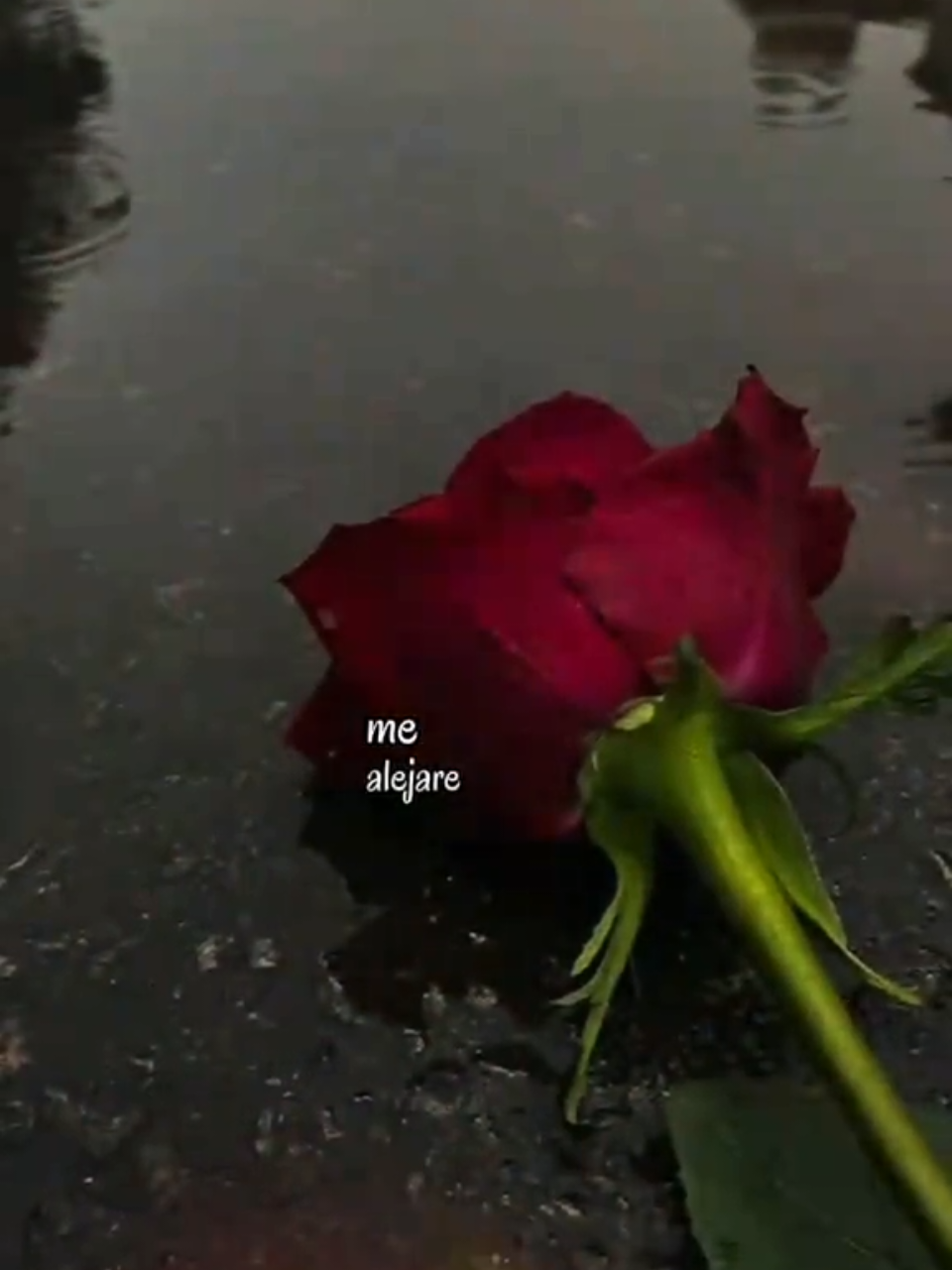 @♥️ 𝐹𝑒𝓁𝓎 ♥️