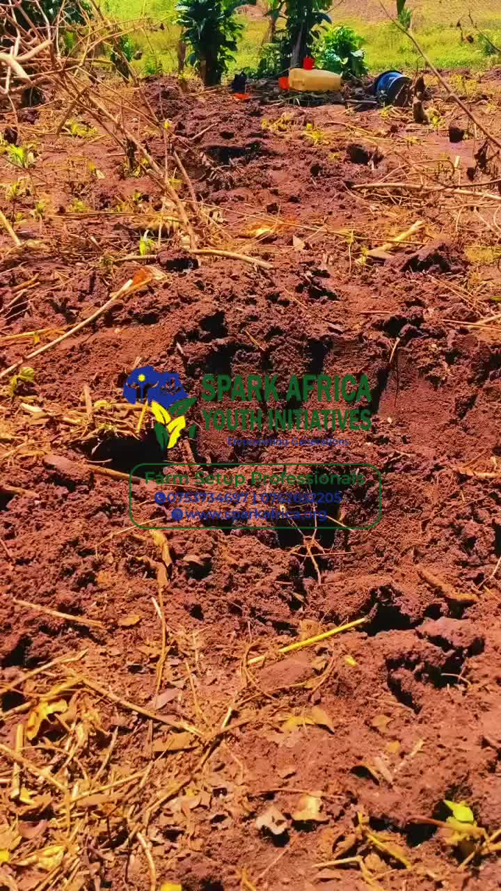 @SPARK AFRICA 1