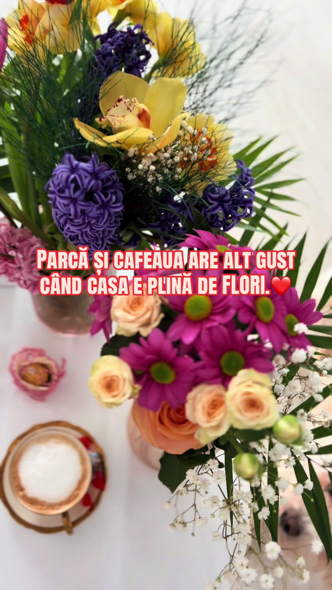 @Mari Dumitrache