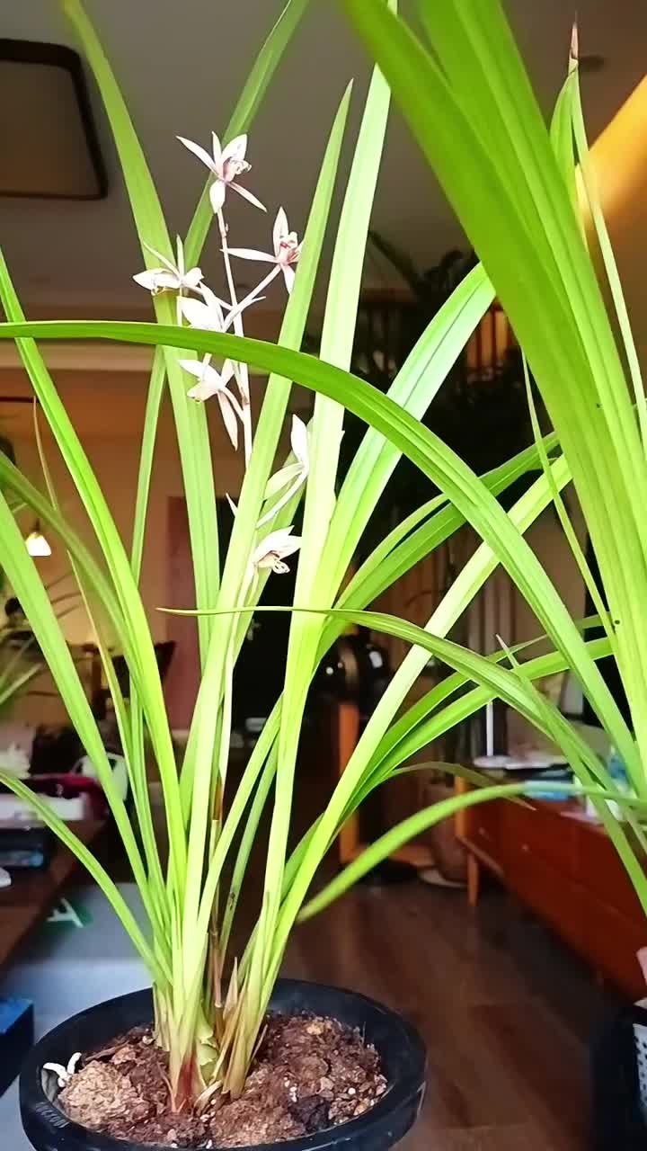 @๐๐๋๋ฆผ๊ฐ๋ ์์ค๐๐