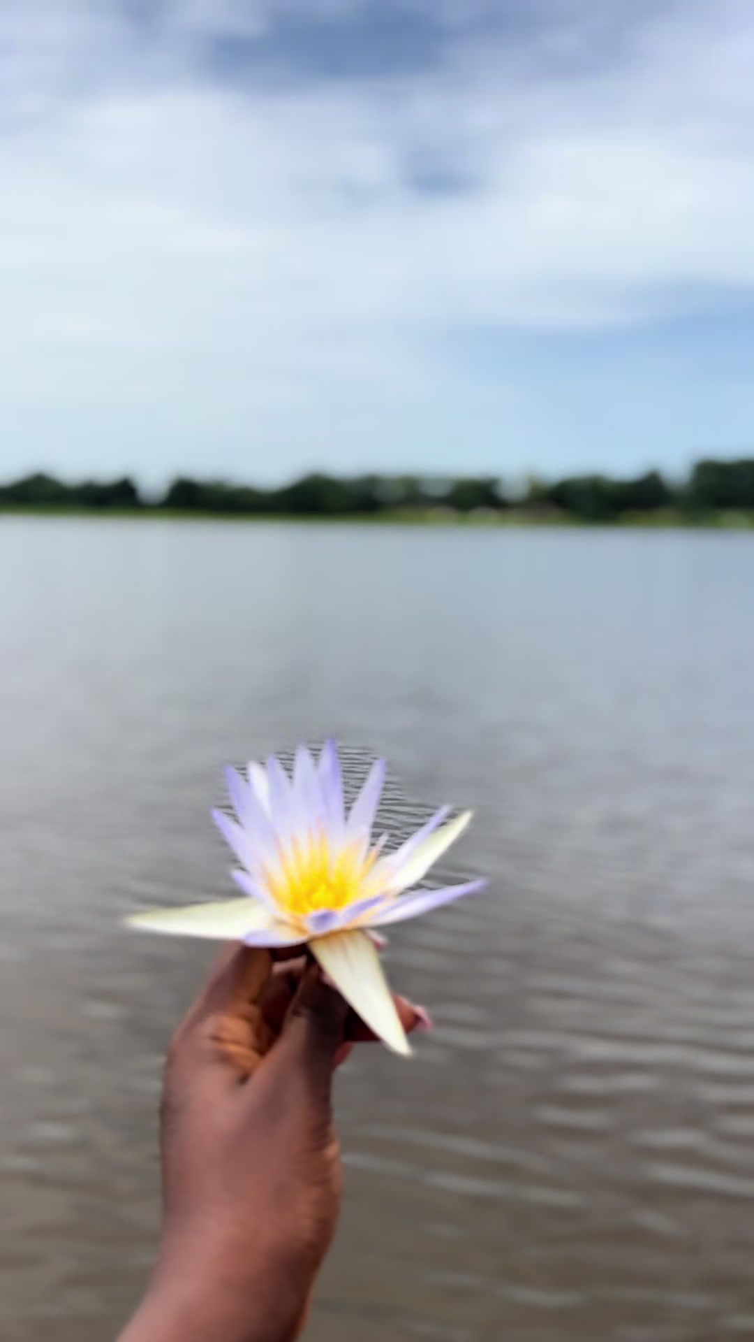 @Sap&otilde;nP&ugrave;gs&ecirc;da 🎨👩&zwj;🎨