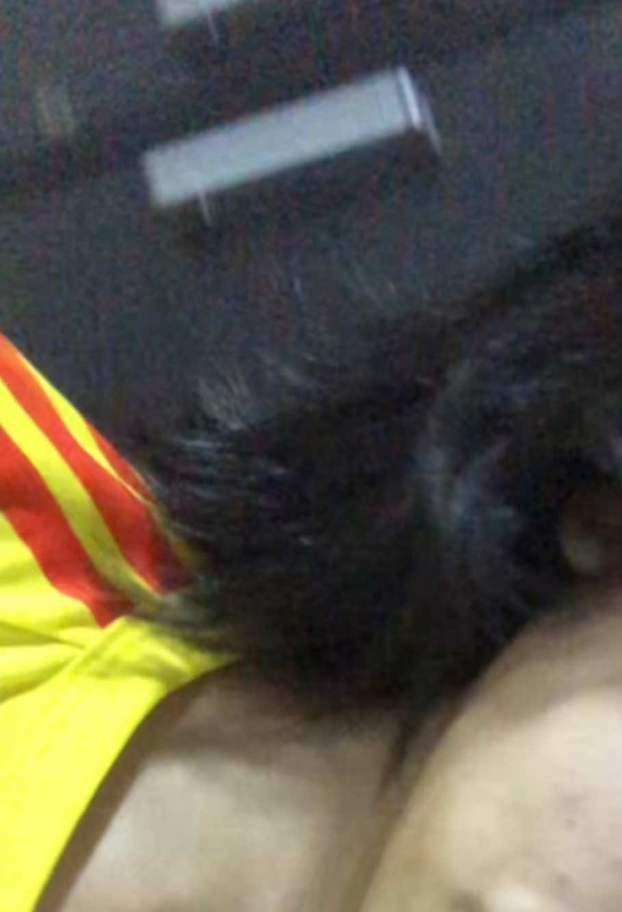 @Daniela