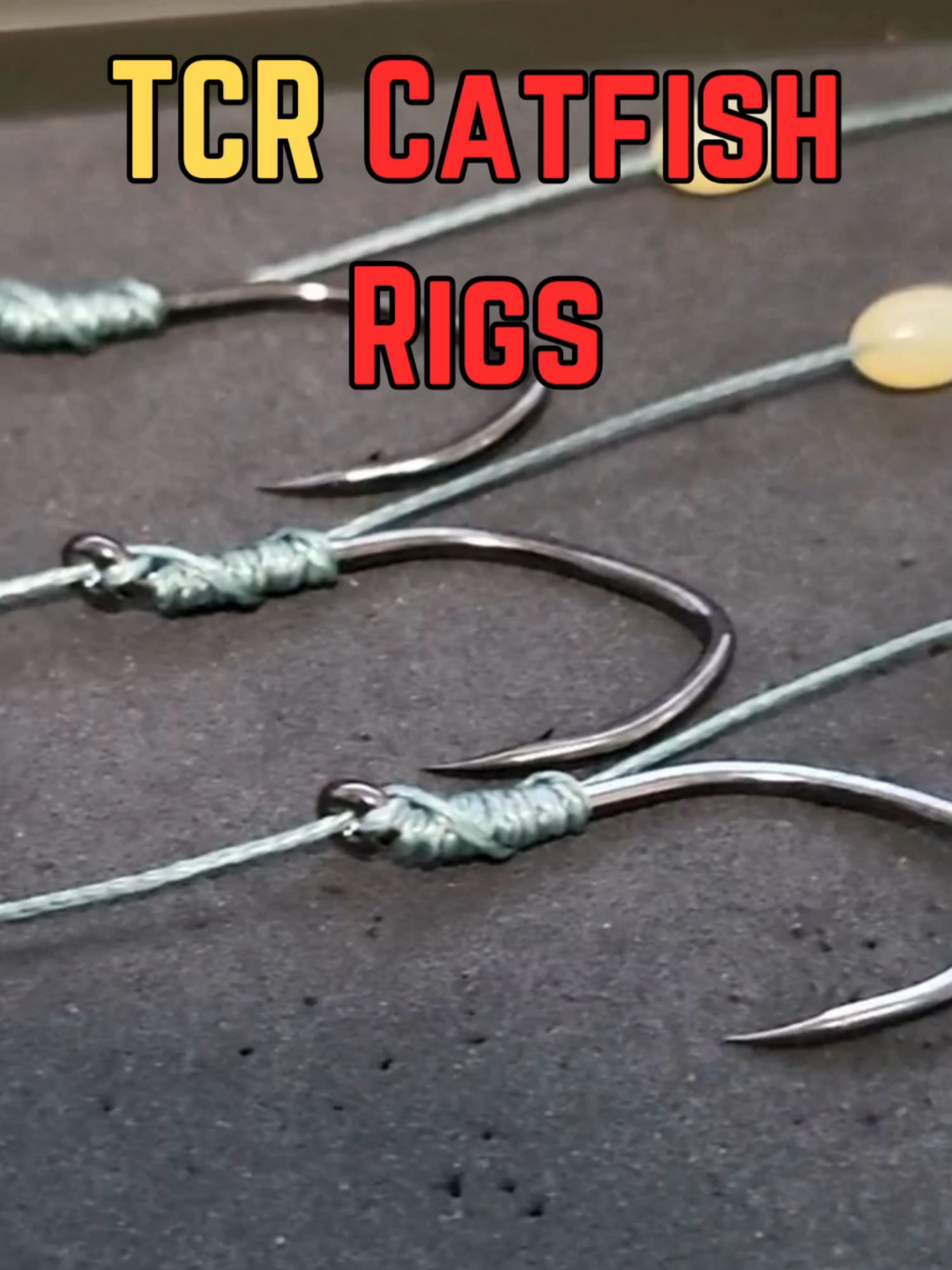@Thats Carpy Rigs