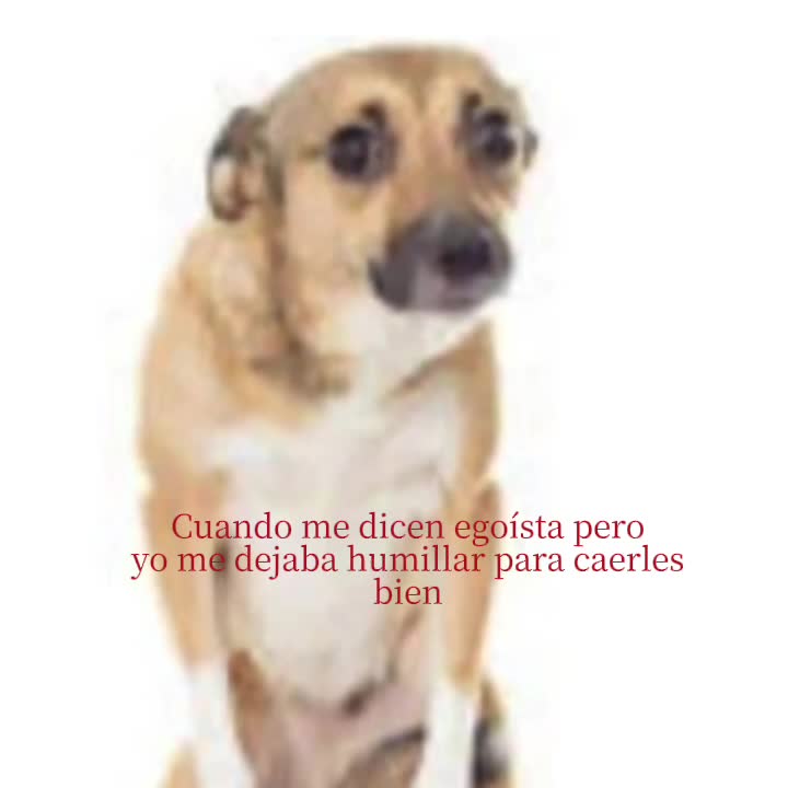 @texto rojo