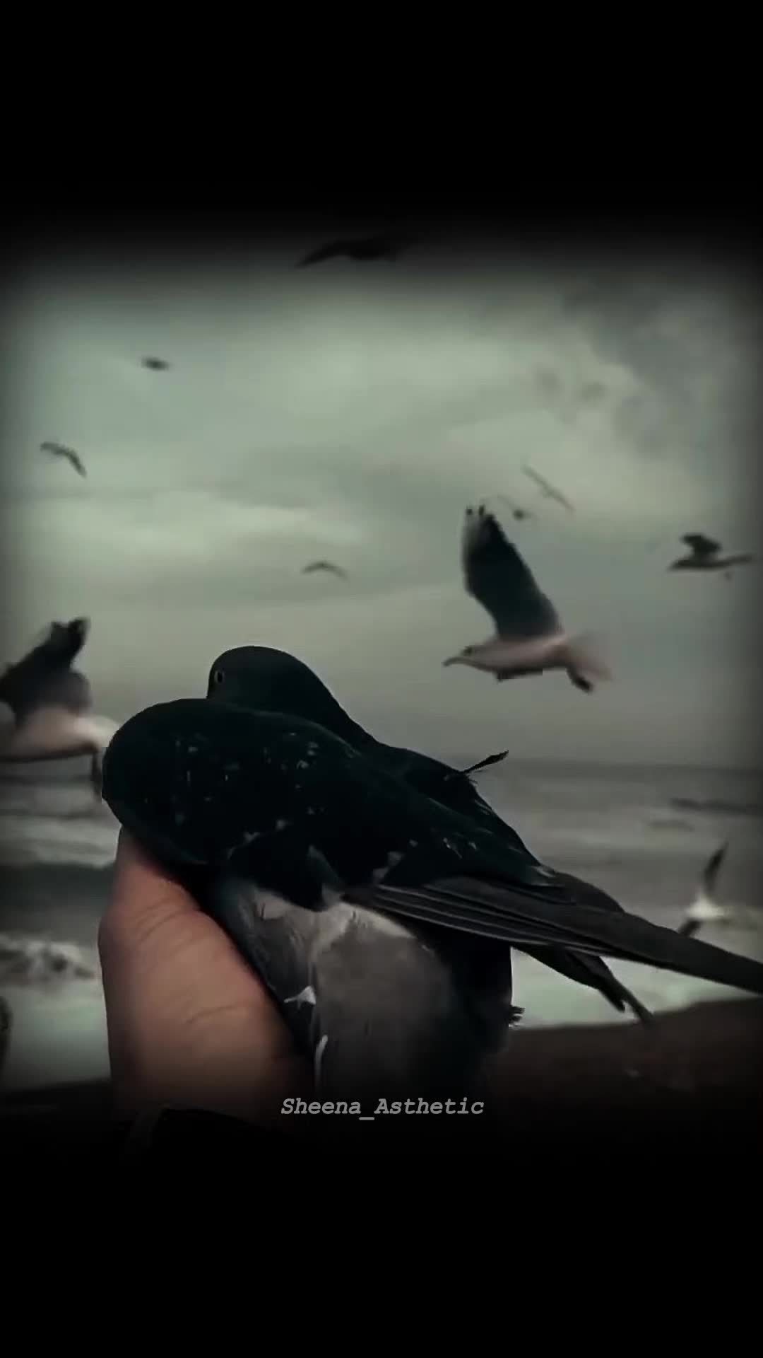 @💞𝓢𝓱𝓮𝓮𝓷𝓪 𝓦𝓻𝓲𝓽𝓮𝓼 💞