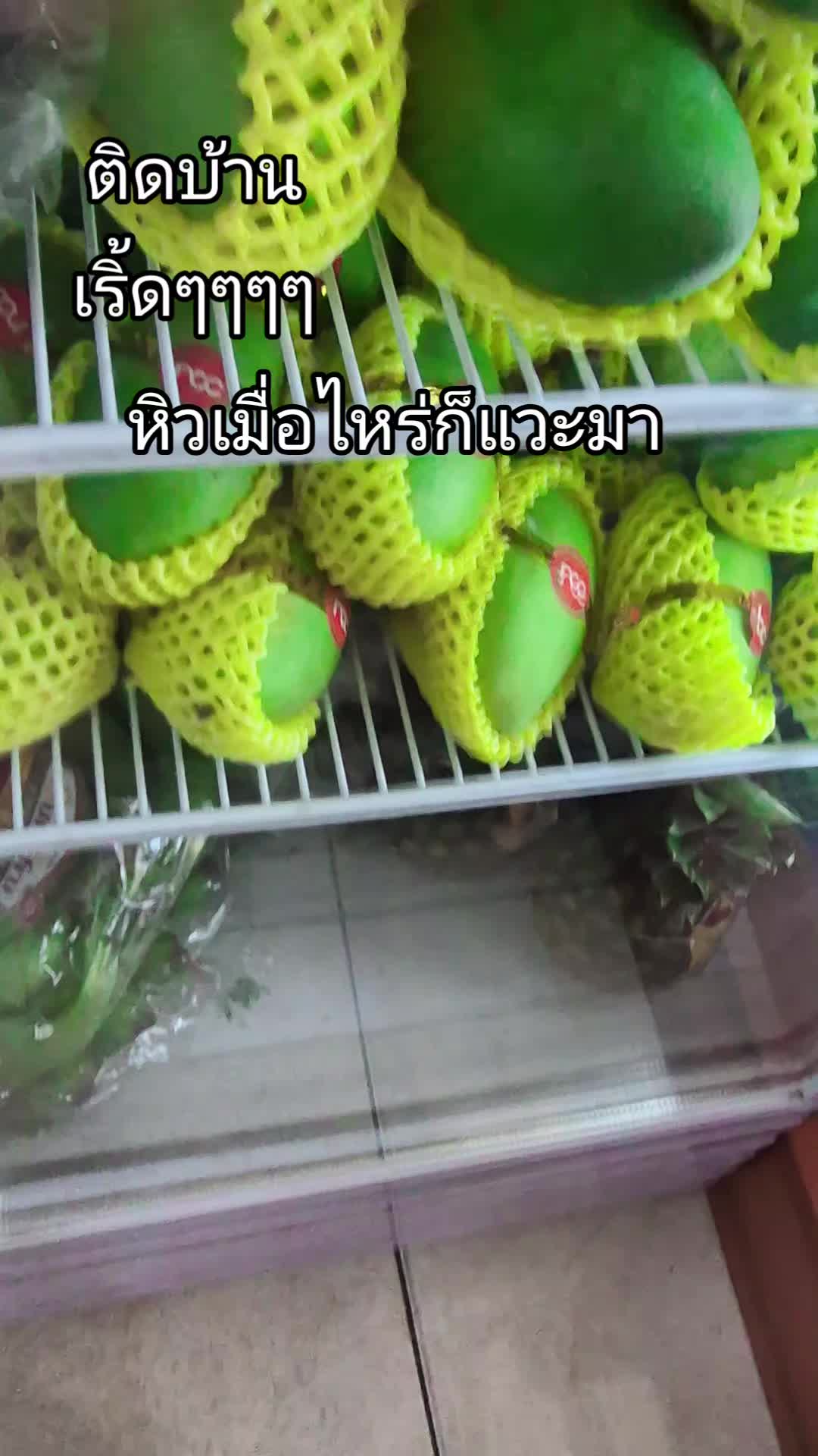 @พระสนมเอกขมิบศรี จิมิผจญภัย2