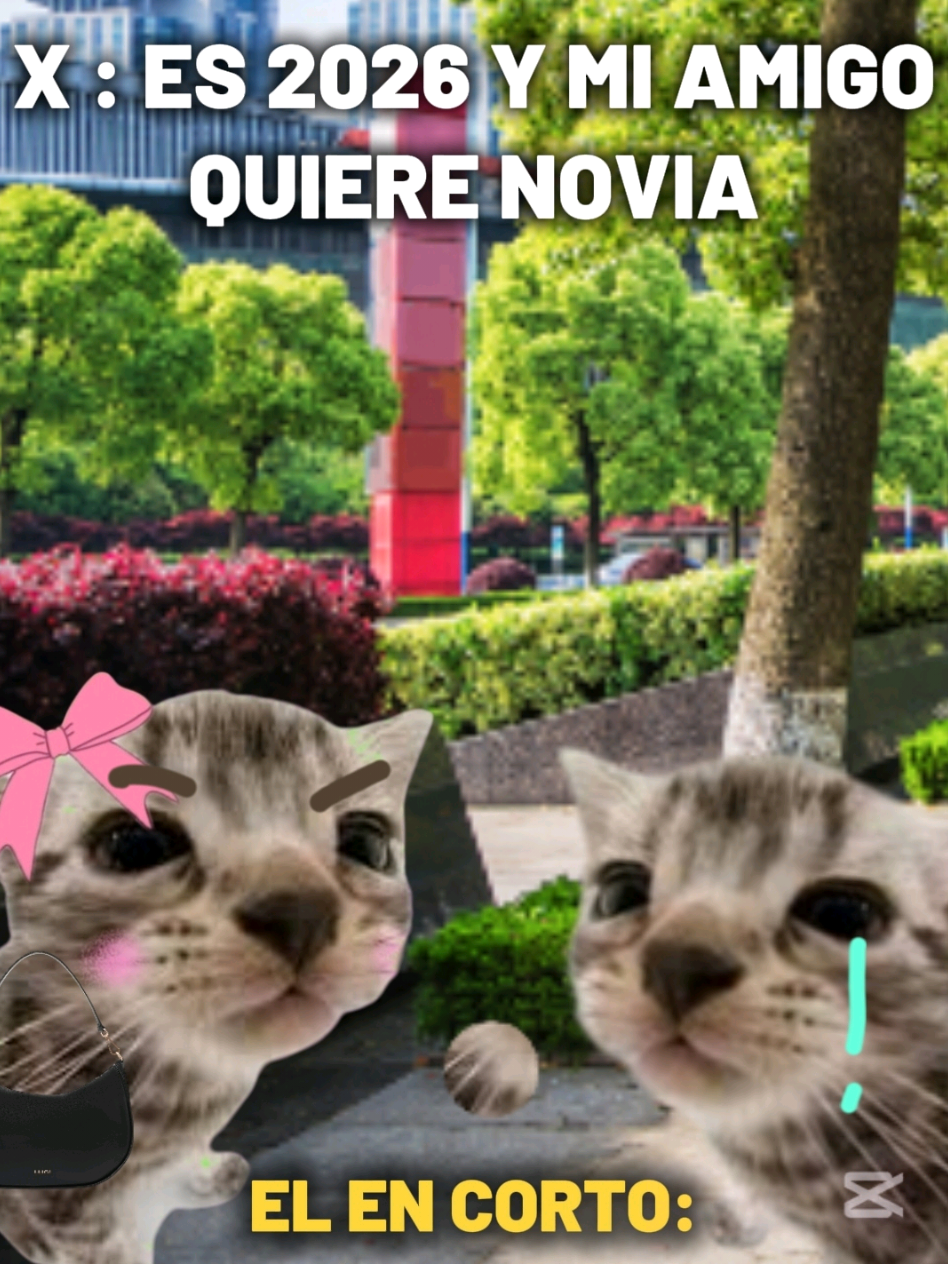 @TIGRITO EN MEMES