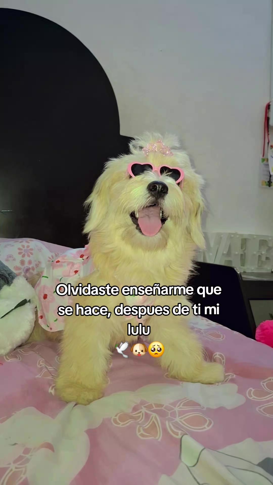@Yurley ❣️