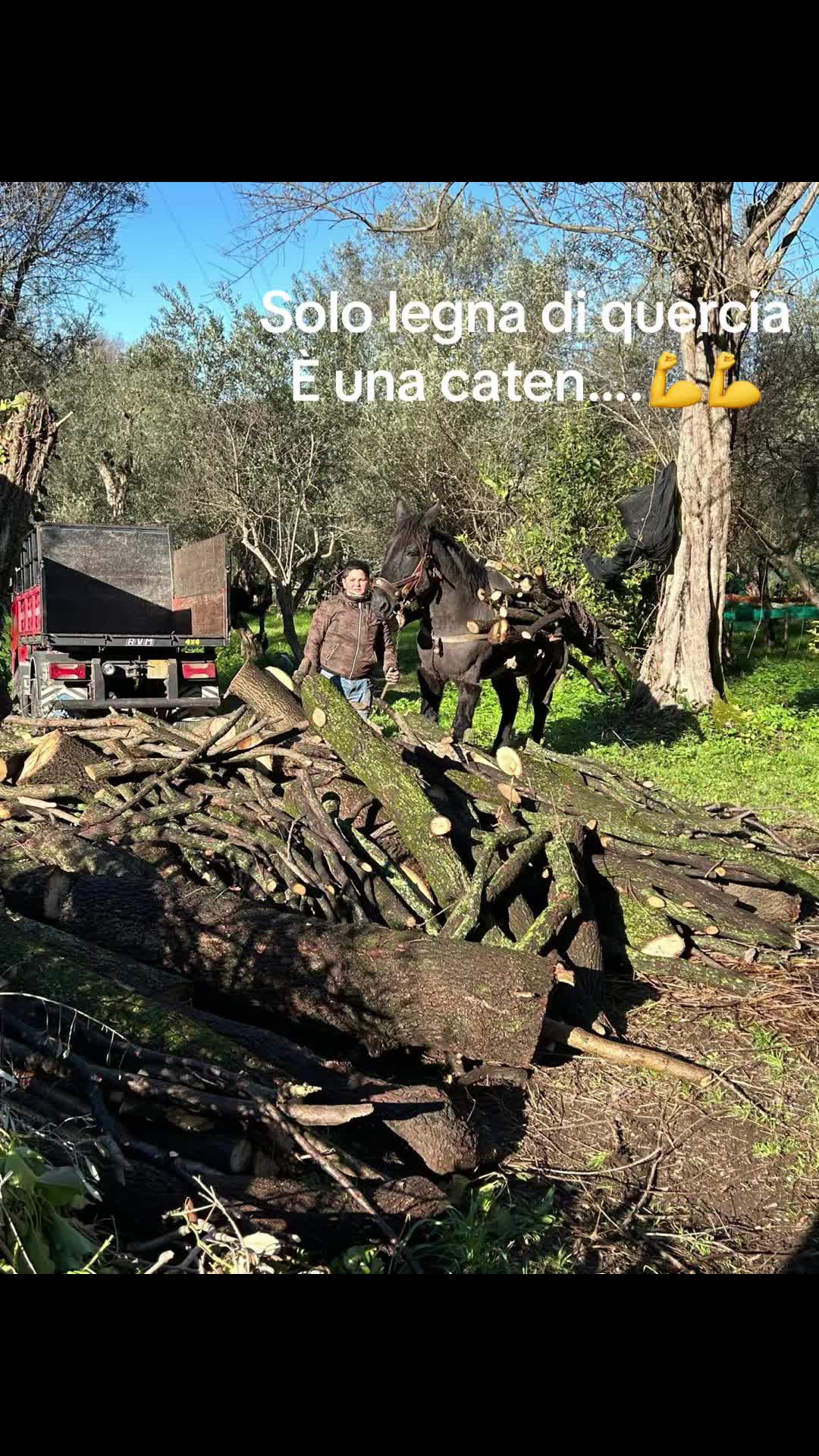 @LUIGI🧊