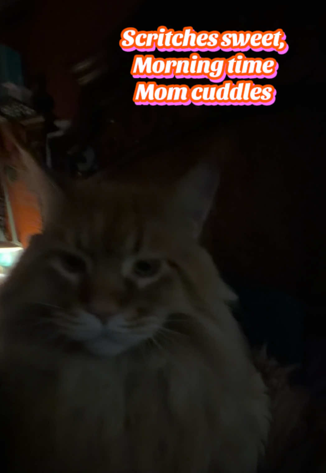@Theodore Scritches McWiggles