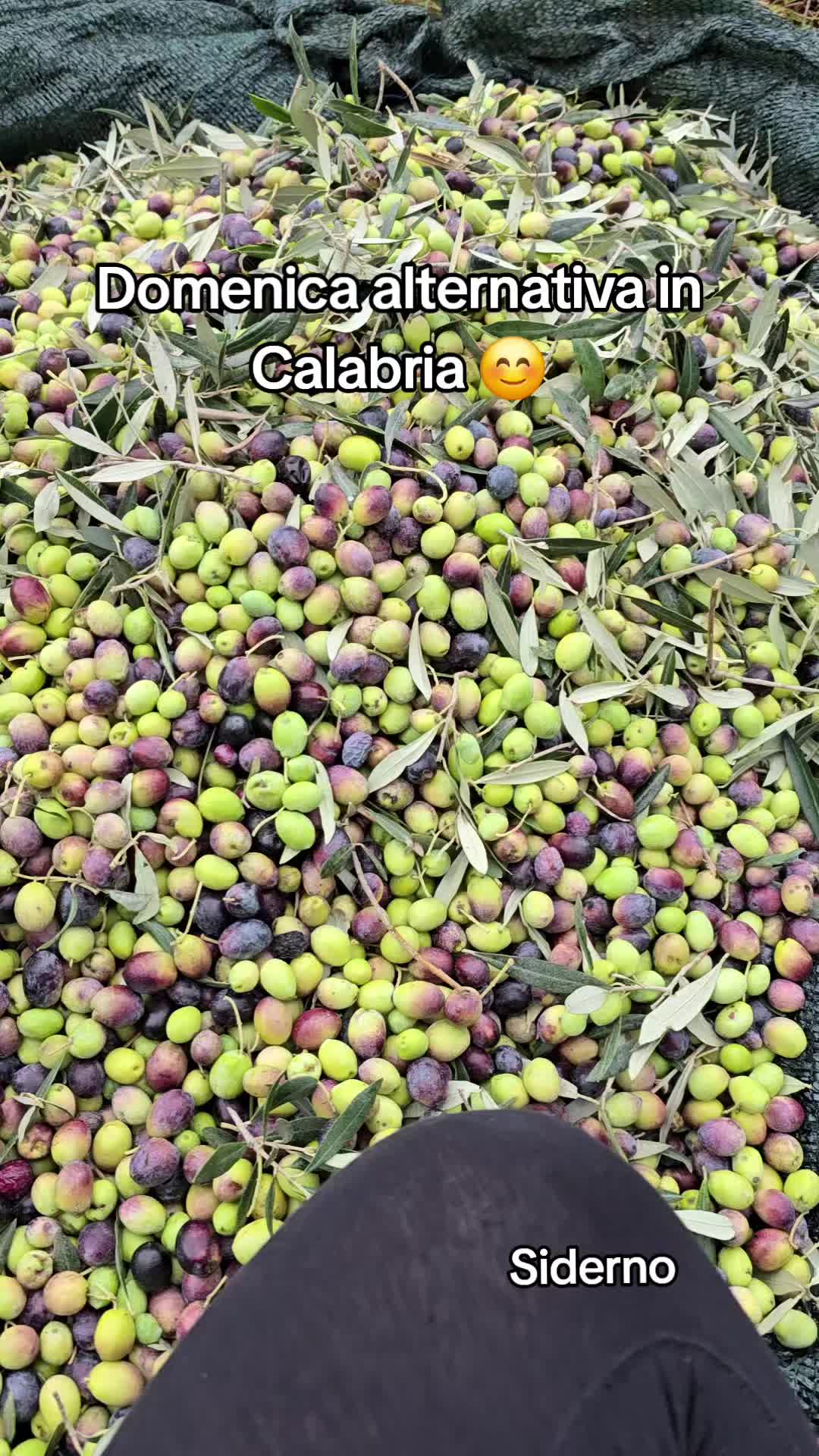 @Maria Teresa Commisso