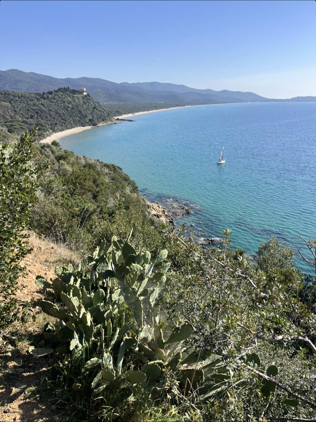 @Maremma Green Passion