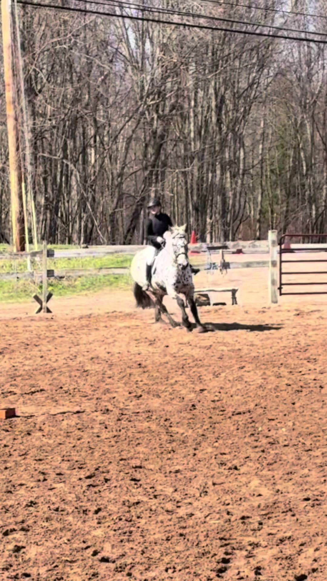@🐎Aby 😌👌✨️