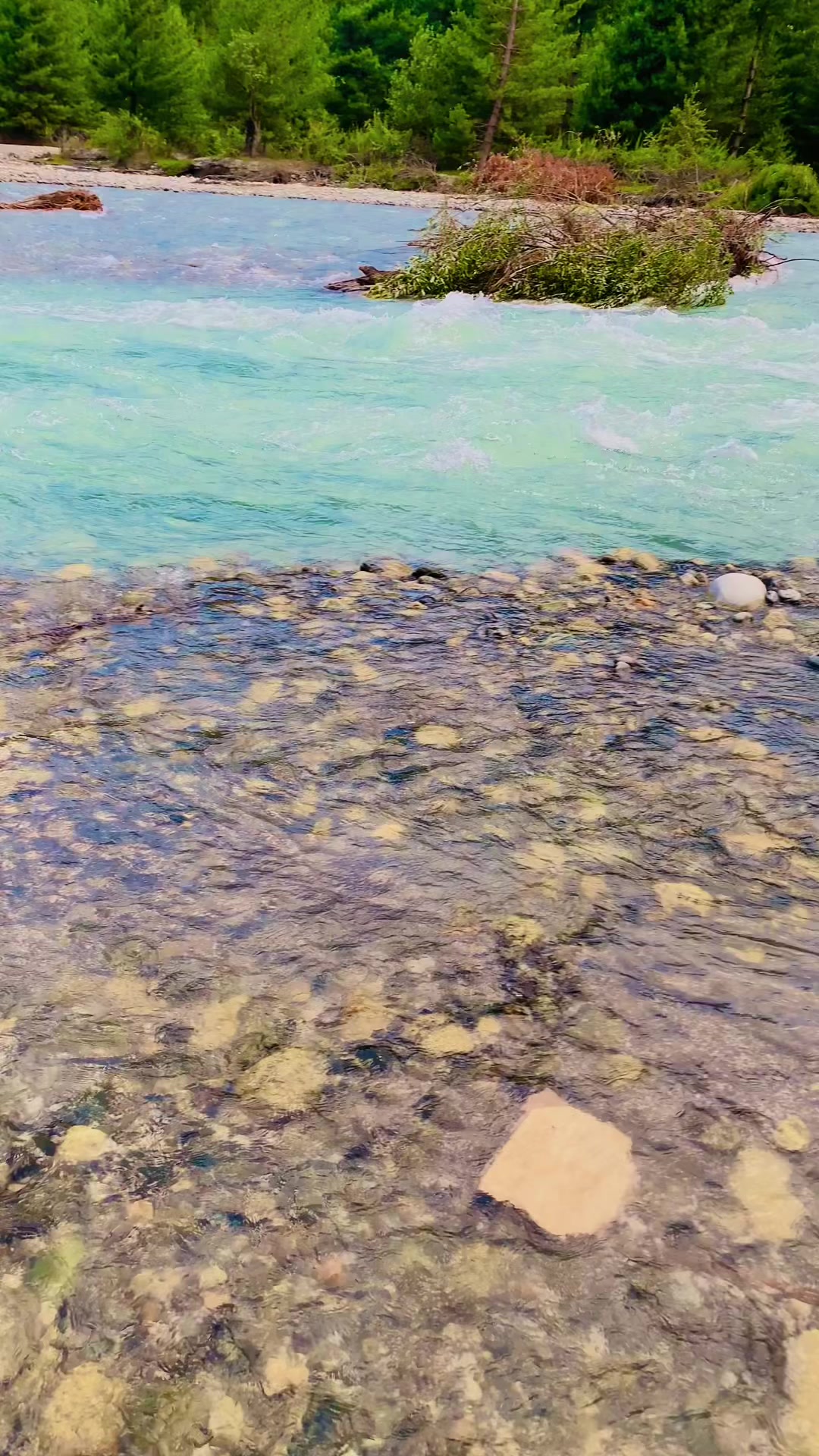 @شایان آفریدی 🌹🌹،🇵🇰🇵🇰