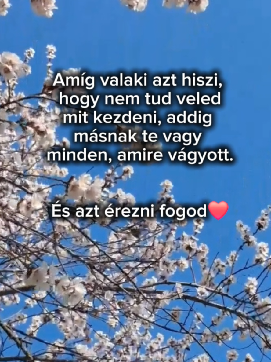 @Husonyicza Nikoletta