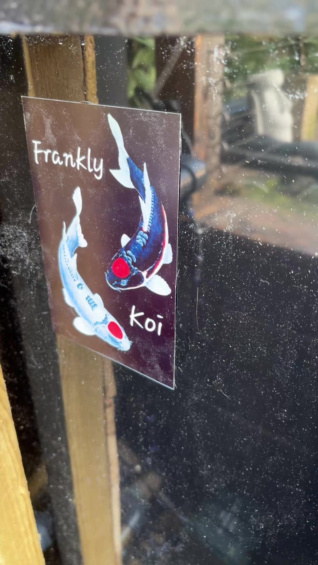 @Frankly Koi Real