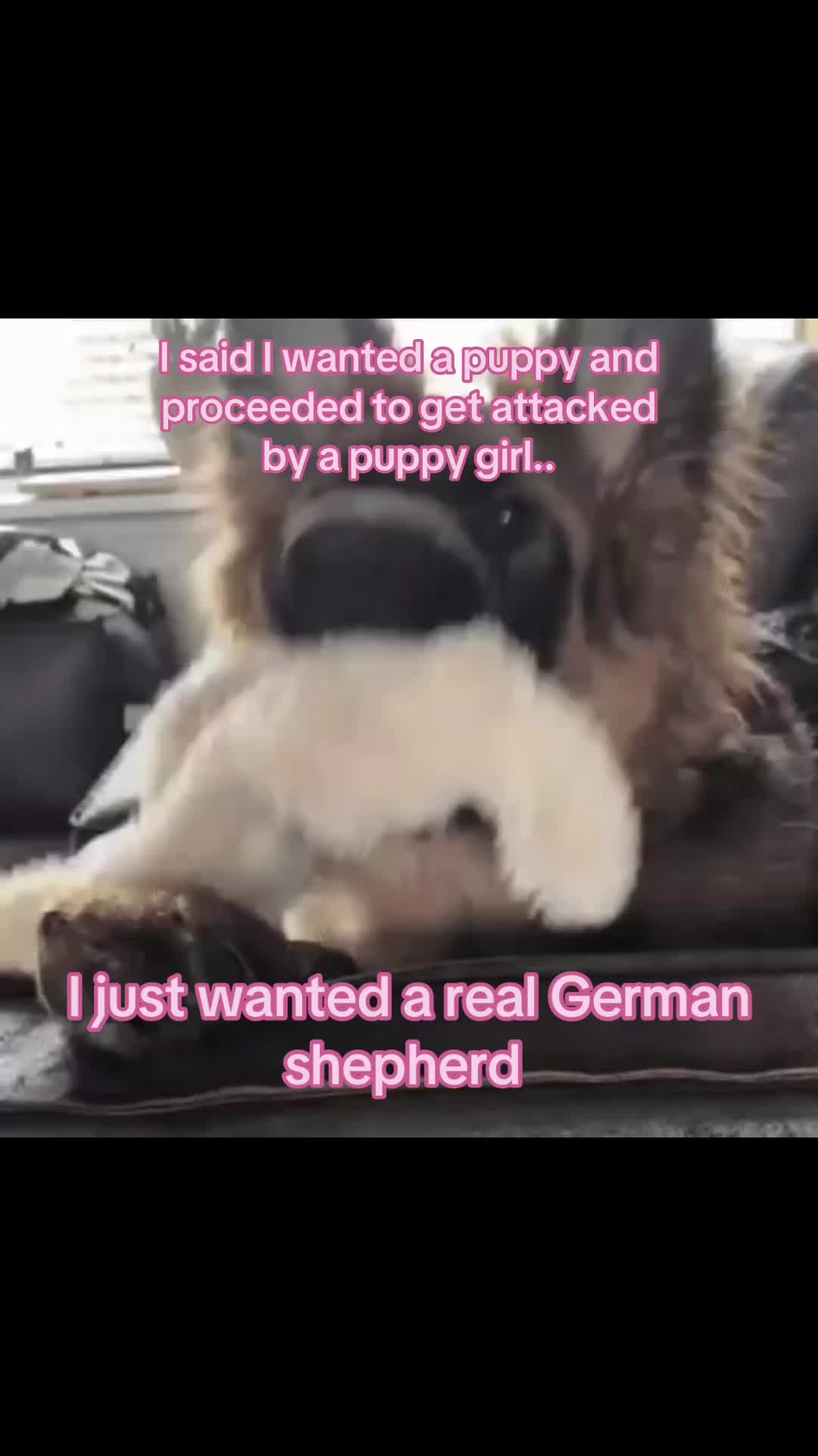 @_xxvzvxx_