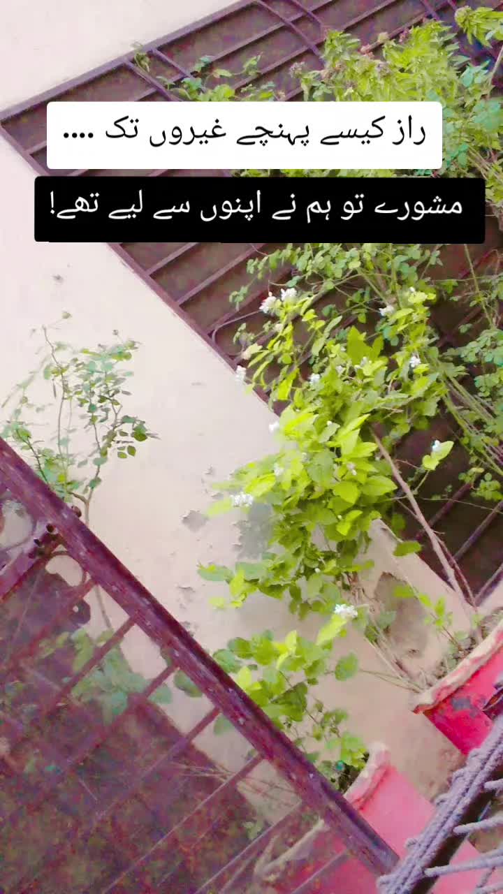 @Raبia Awaن