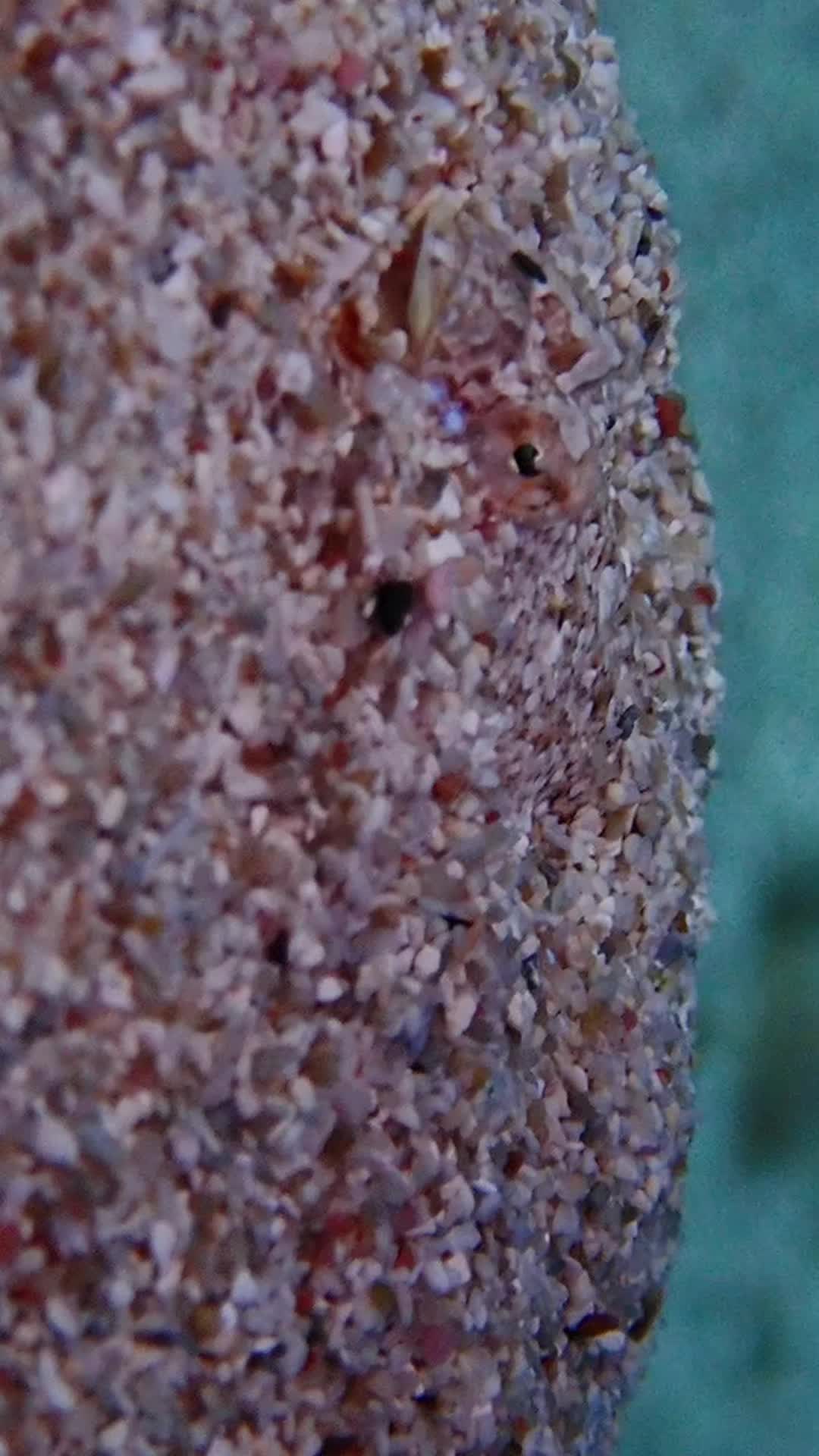 @Micasliebstes