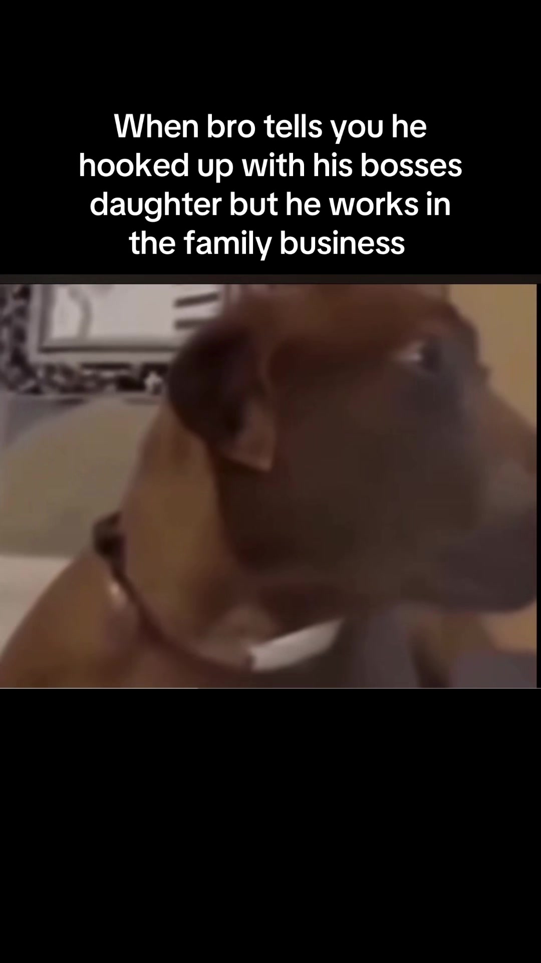 @bruh67dog