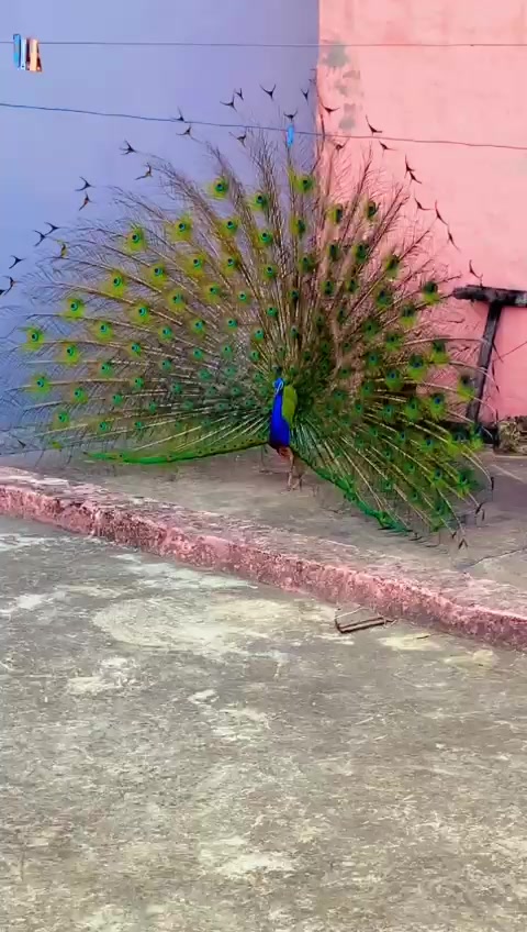 @19vero26