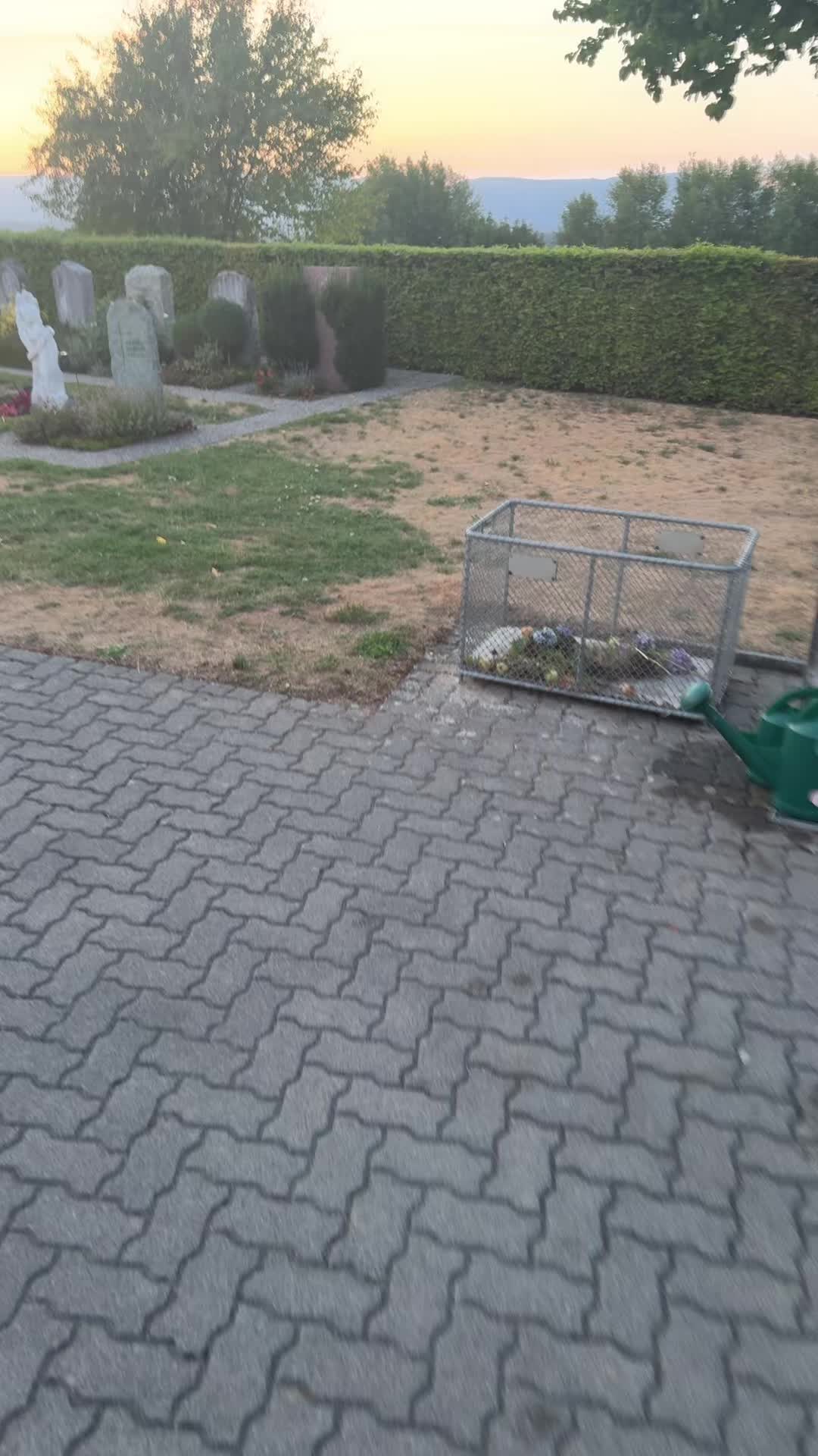 @fatih tasoglu