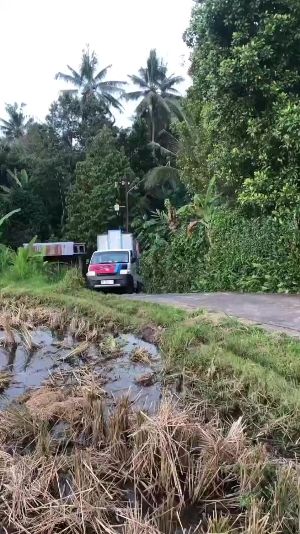 @LEMARI DULANG BALI