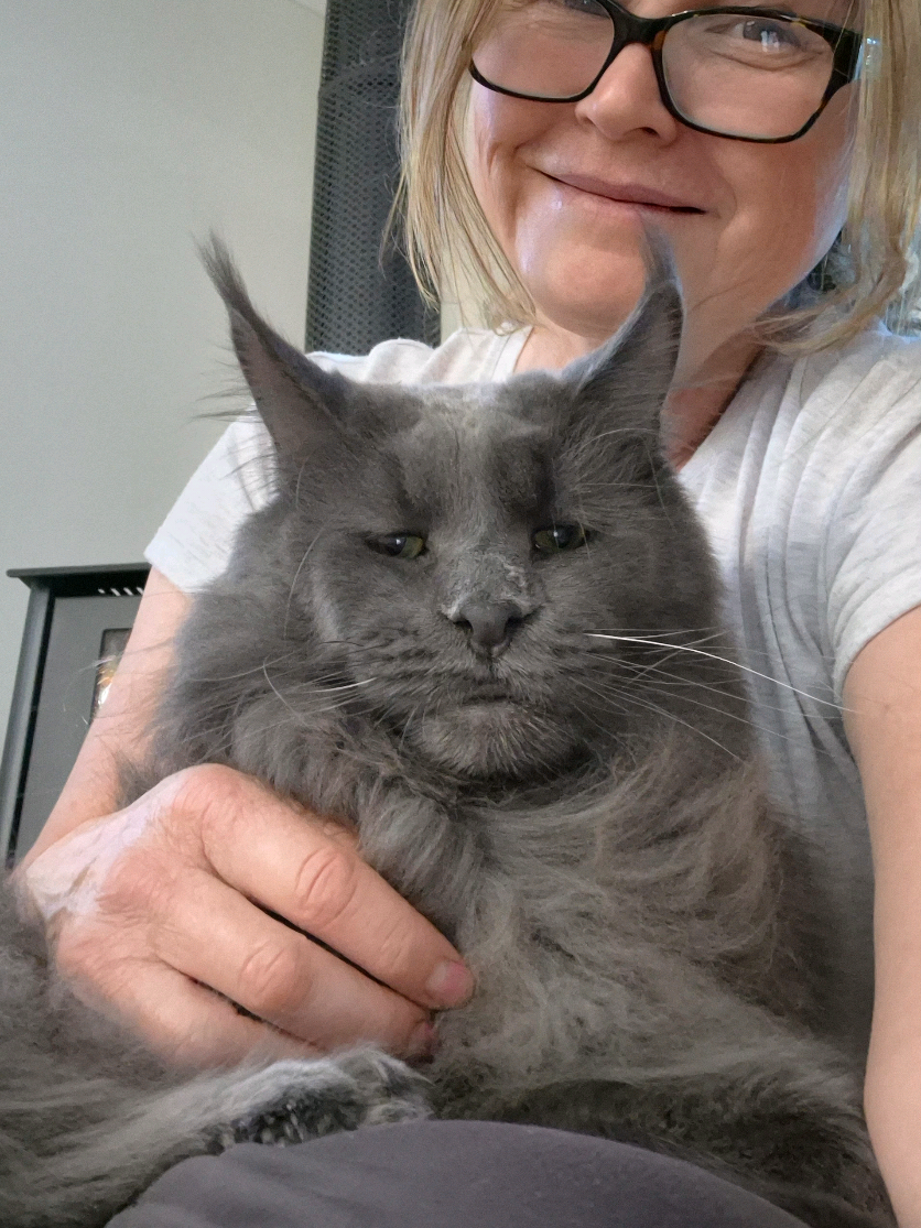 @Ragnar the Maine Coon 🐈