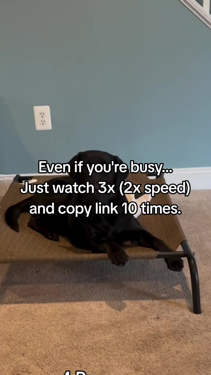 @lucycat28