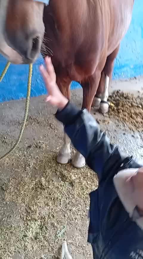 @majid Ƙàțàřîŷå