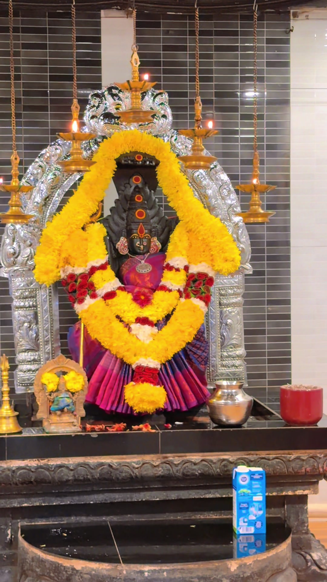 @Jega Thurai Raju