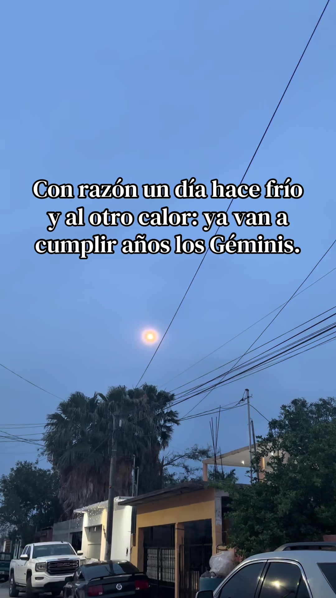 @Sofia Armenta