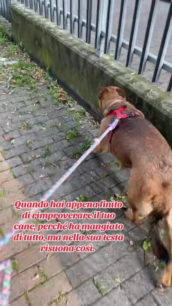 @Simone Mazzitelli