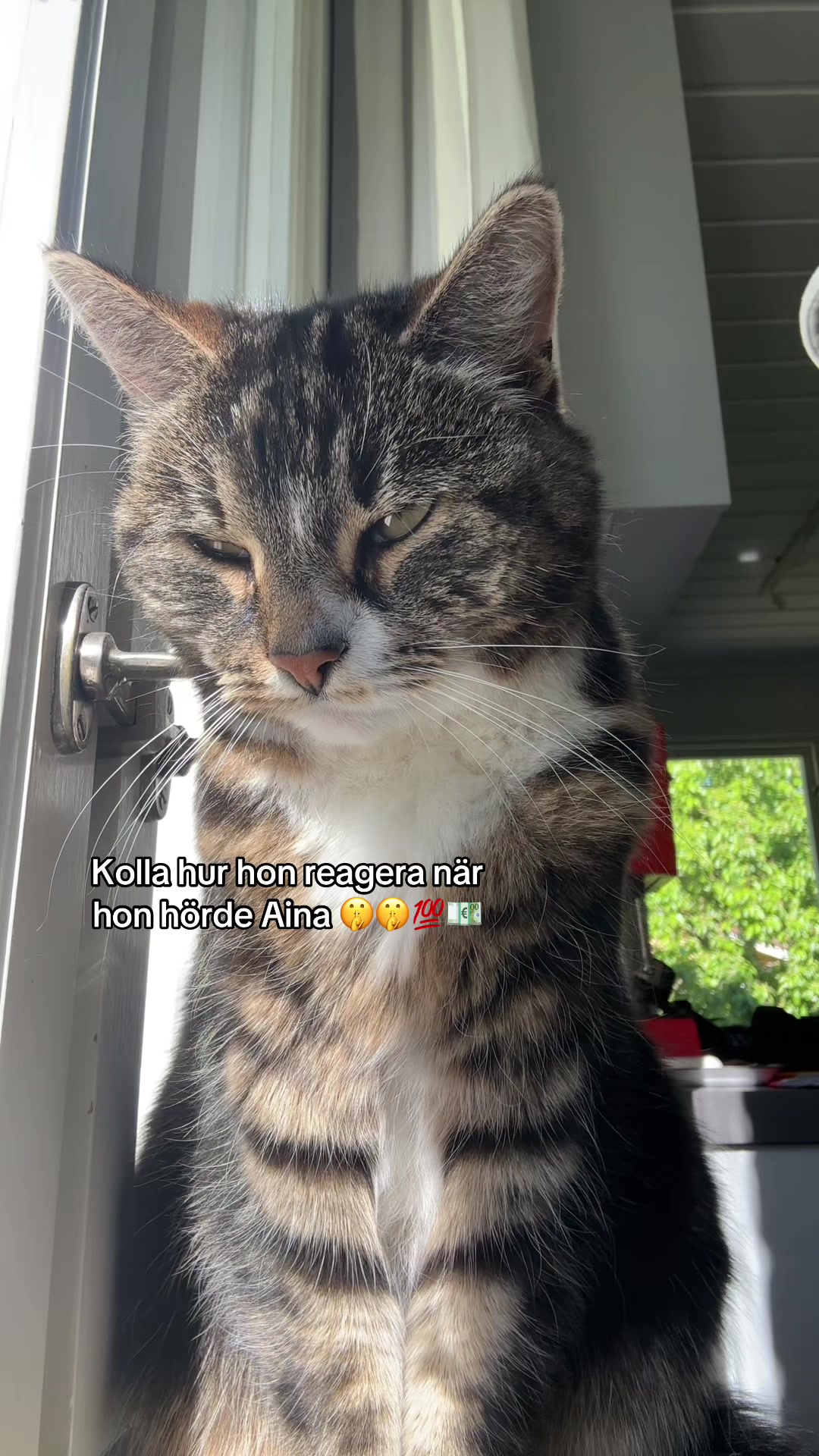 @snippslurp