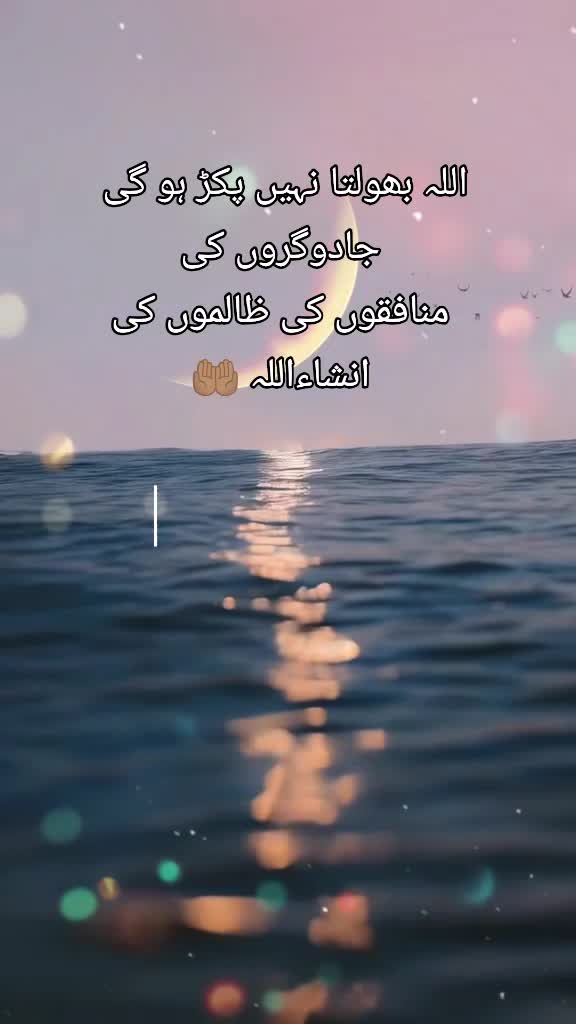 @MrMajid ; (مسٹر مجید)