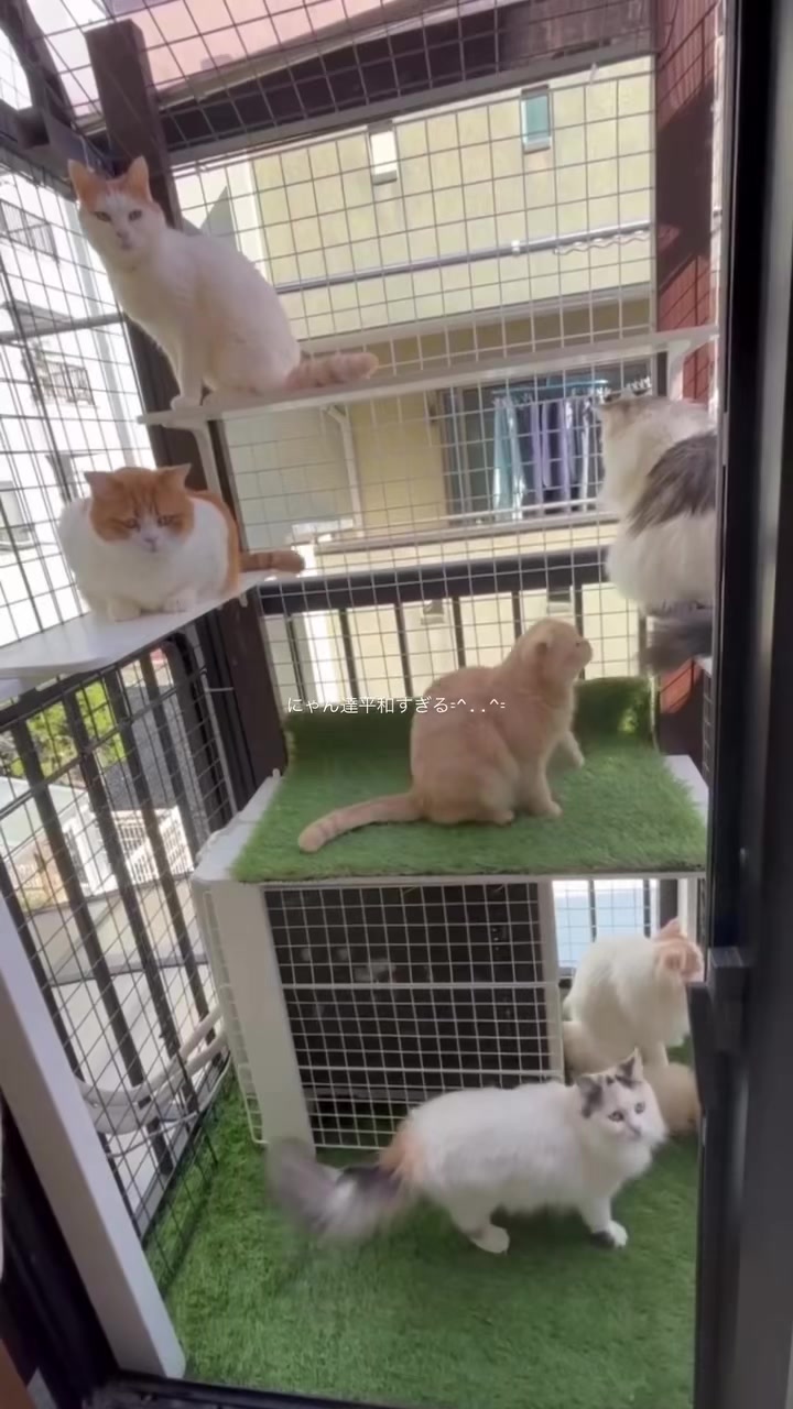 @ワタシの可愛い天使達💘