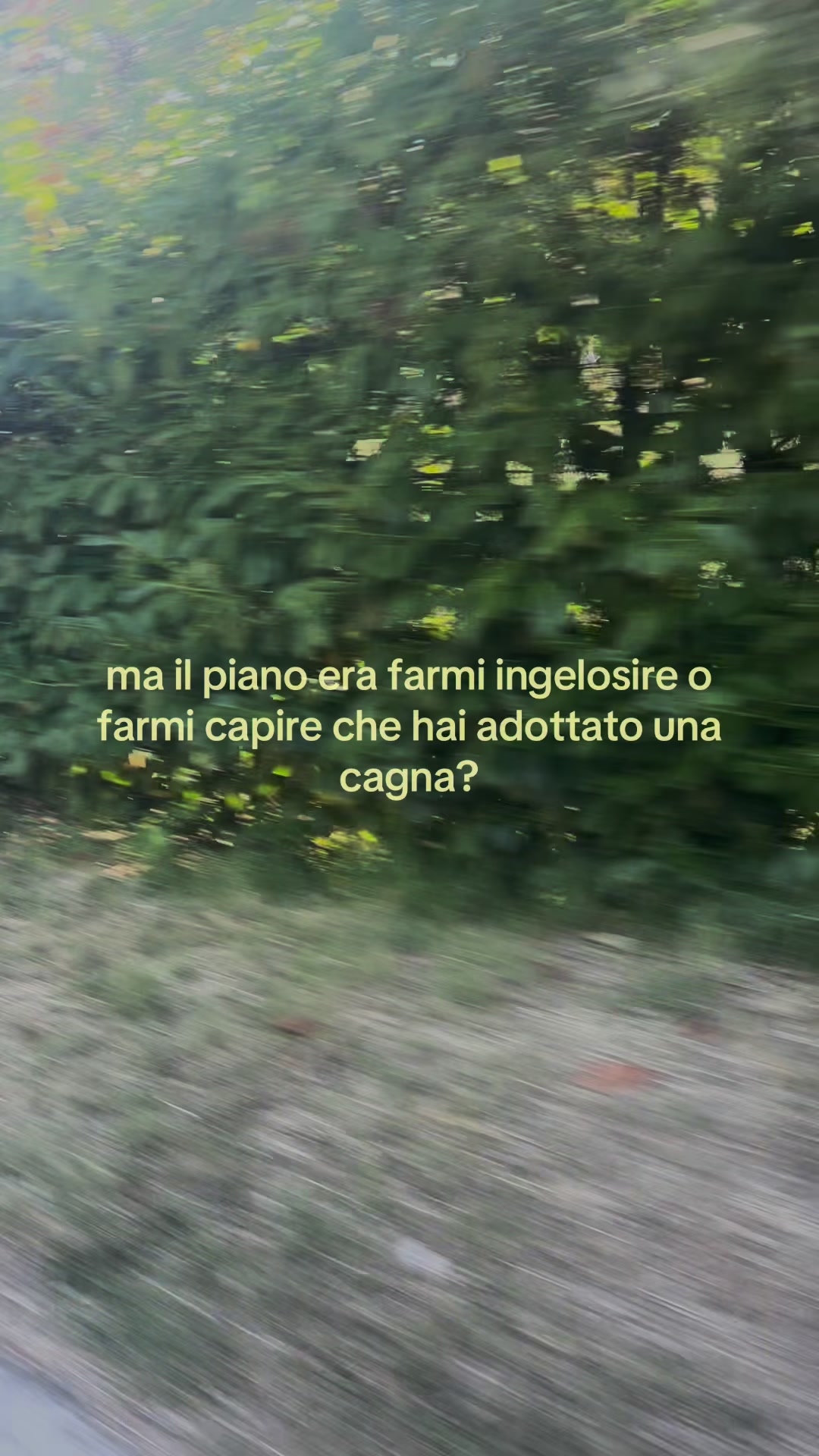 @Spam