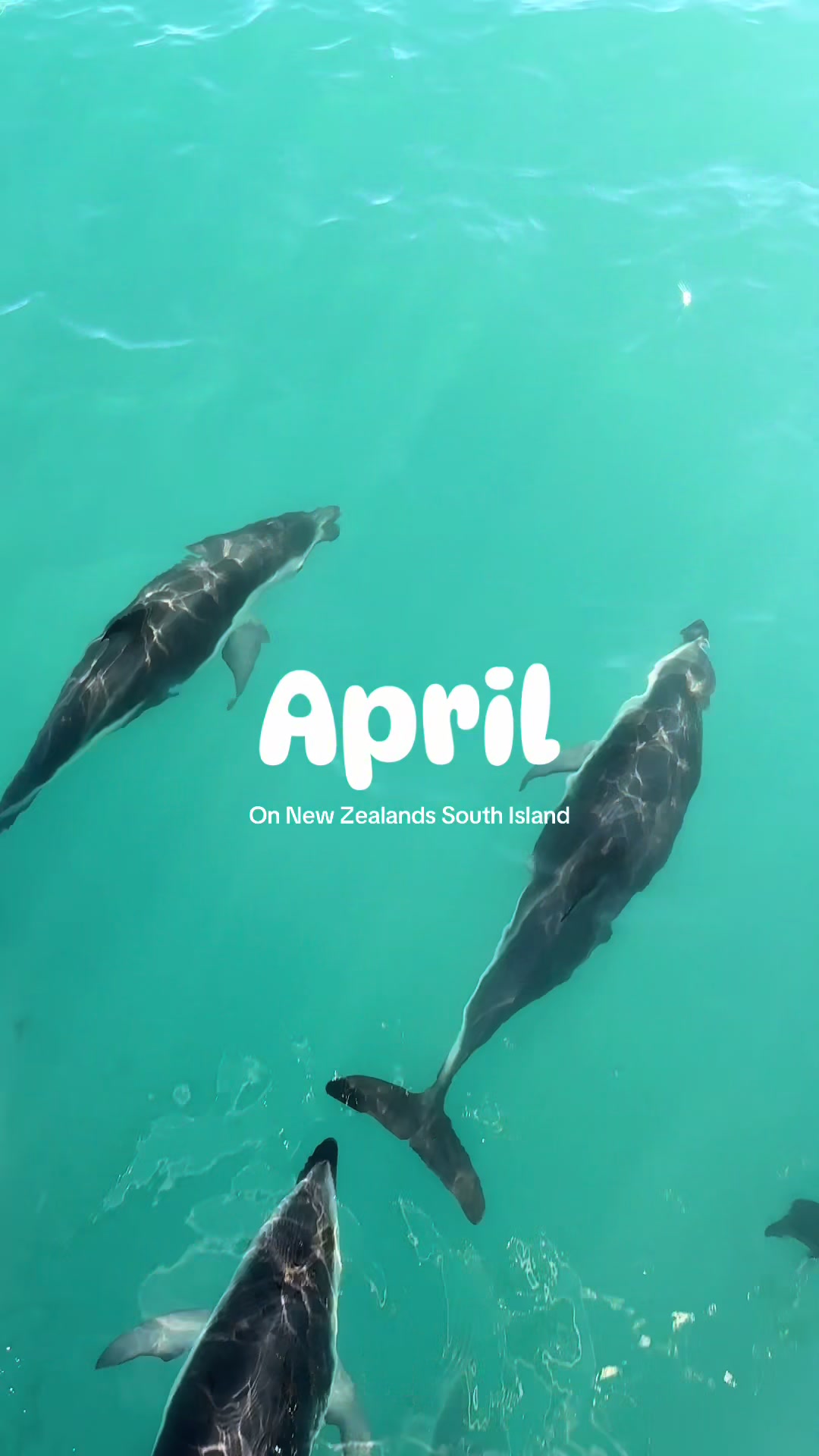 @idwerd&ensp;|&ensp;travel NZ🇳🇿🚐 & AUS