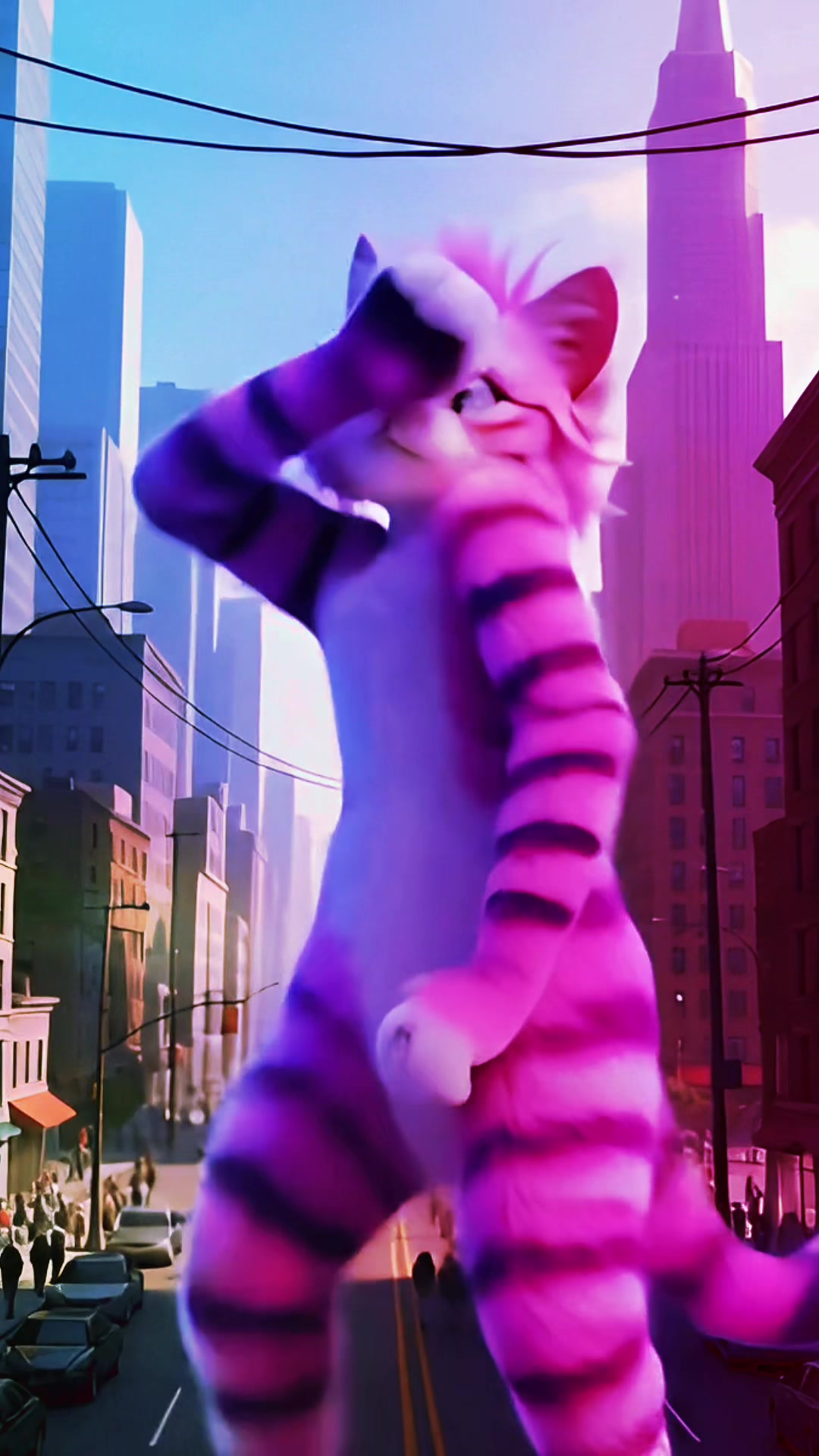 @STRIPEY