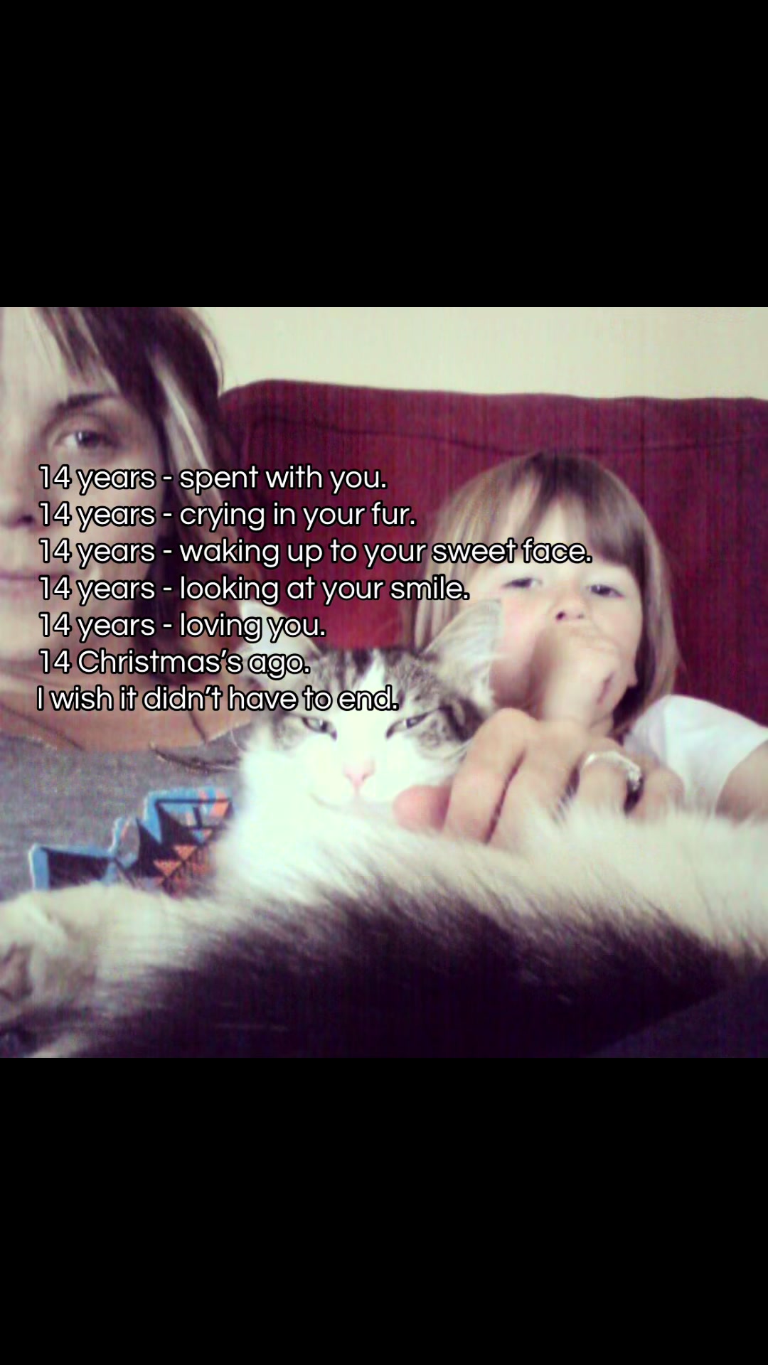 @eisleycatsmeow
